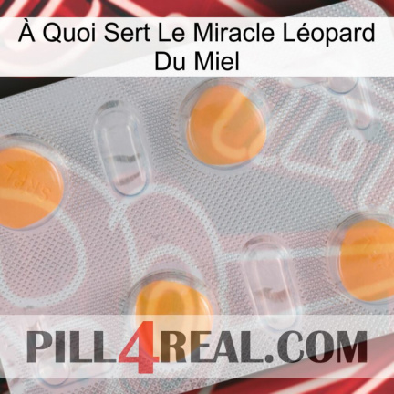 À Quoi Sert Le Miracle Léopard Du Miel 24